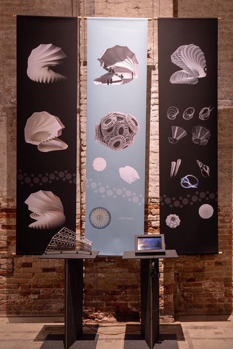 MZO-Biorock Pavilion-0630