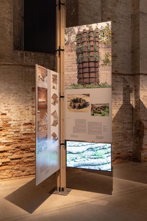 MZO-TO GROW A BUILDING-8965