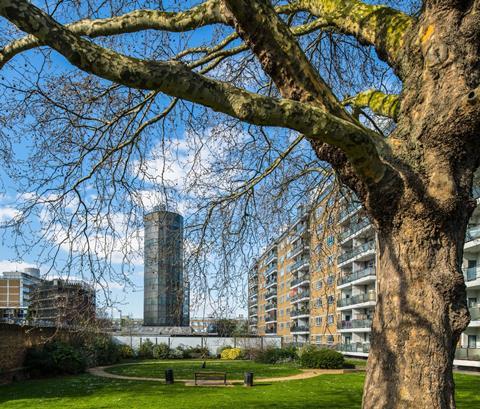 Churchill Gardens, Pimlico, London. There are a large number of mature and young trees within the garden. Species include pseudo Acacia, Hornbeam, Lime,