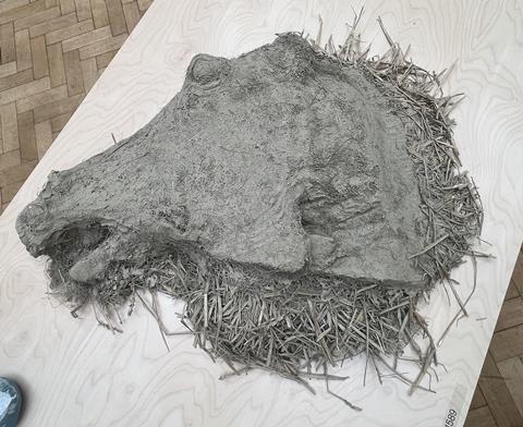 horse head