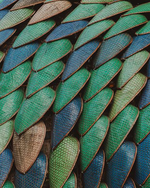 03_SAAR_The Pangolin Shield