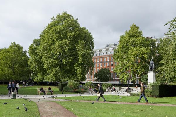 Tonkin Liu beats big names in Grosvenor Square redesign contest | News | Building Design