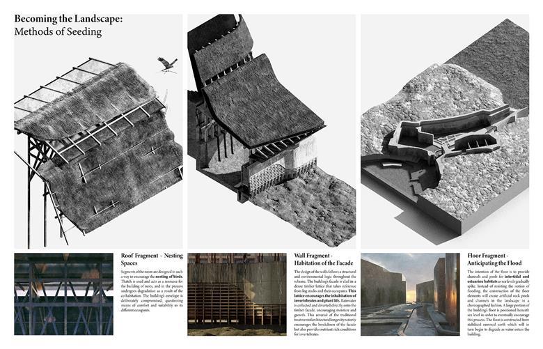 architecture dissertation riba