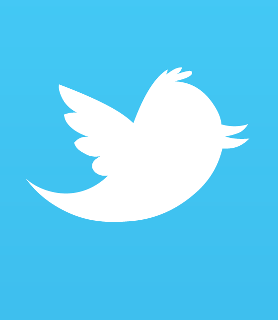 twitter logo gif 256 large